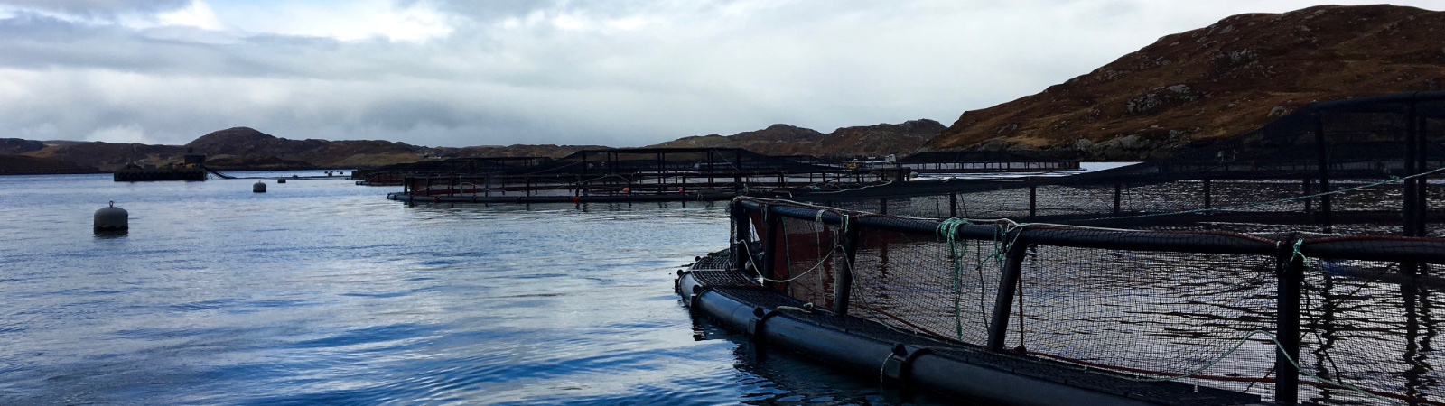 Aquaculture